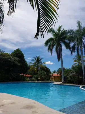 a swimming pool with palm trees and a house at BBQ, Pool, Garden, Smart TV, Parking, AC, King Bed, Laundry facilities - Villaggio 376 in Potrero