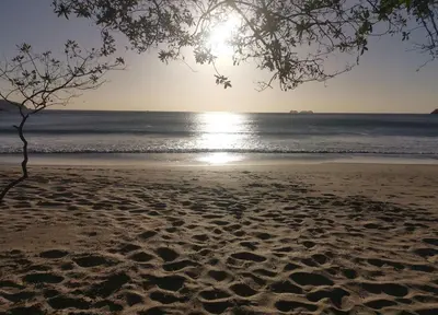 a tree on a beach with the sun in the water at BBQ, Pool, Garden, Smart TV, Parking, AC, King Bed, Laundry facilities - Villaggio 376 in Potrero