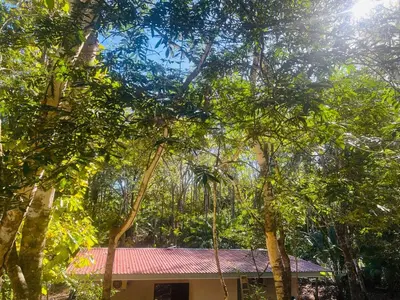 a house in the middle of a forest of trees at Peaceful house in nature 5 min drive from beach in San Juanillo