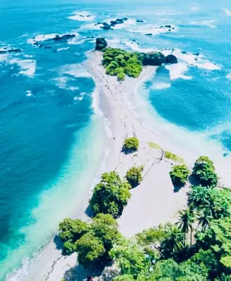 an aerial view of a beach with trees and the ocean at Peaceful house in nature 5 min drive from beach in San Juanillo