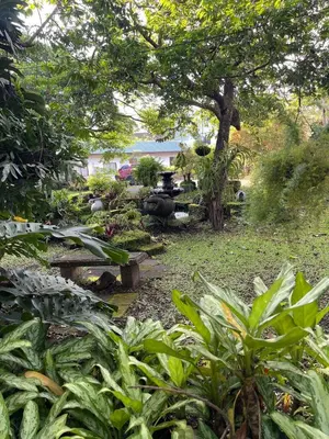 a garden with plants and a table and a tree at Bonsai House in Brasil