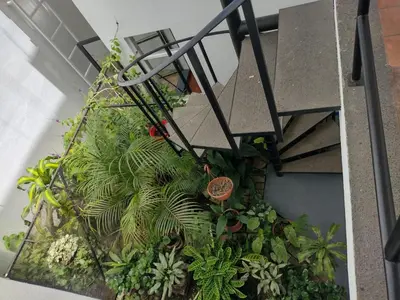 an overhead view of a bunch of plants at Casa #4 Studios in San Pedro