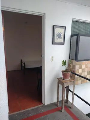 a door leading into a room with a plant on a table at Casa #4 Studios in San Pedro