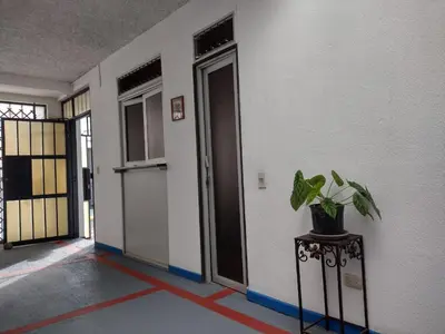 a hallway with a door and a potted plant on a table at Casa #4 Studios in San Pedro