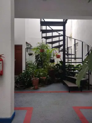 a room with a spiral staircase and plants at Casa #4 Studios in San Pedro