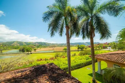 a view from the roof of a house with two palm trees at Colina 5D - 3 bdr 2 bath Family in La Mona