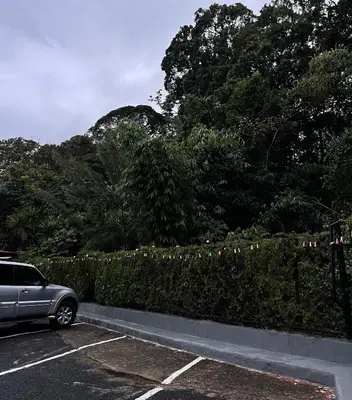 a car parked in a parking lot next to a hedge at Donguis Rooms in San Pablo