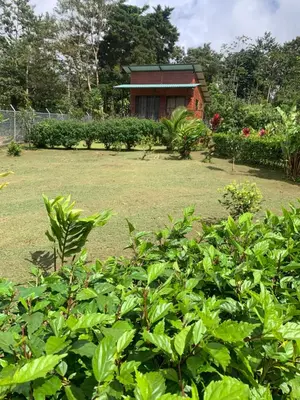 Gallery image of La Cabaña del Colibrí in Upala