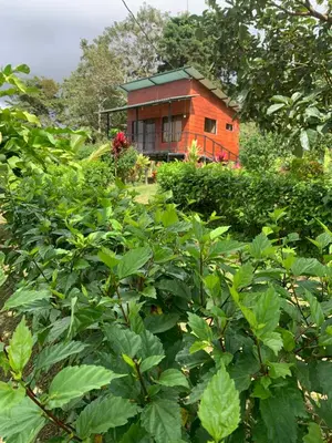 Gallery image of La Cabaña del Colibrí in Upala