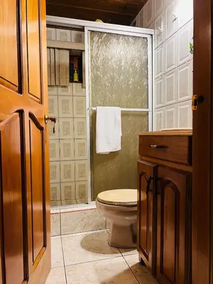 a bathroom with a toilet and a shower at Family Nest Turrialba in Turrialba