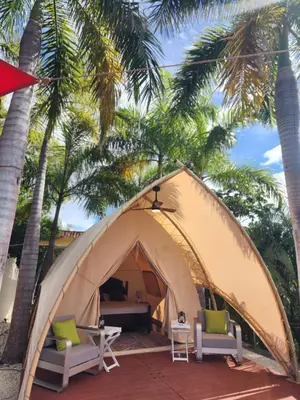 a tent with two chairs and palm trees at A Slice of Paradise in Sardinal