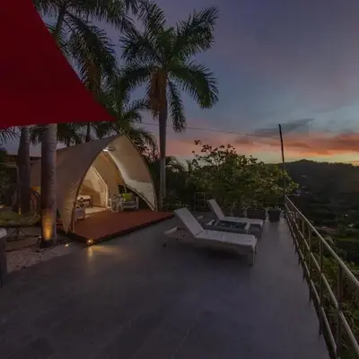 A Slice of Paradise
