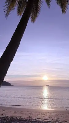 a sunset on a beach with a palm tree at Casa Colibrí Playa Blanca in Paquera