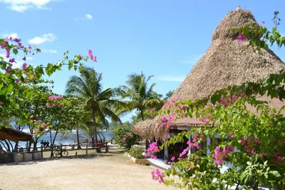a hut on the beach with pink flowers at Hotel Playa Negra in Playa Negra