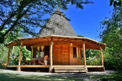 a house with a thatch roof with a porch at Hotel Playa Negra in Playa Negra