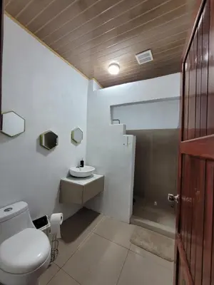 a bathroom with a toilet and a sink at CASA TICA Apart 1 y 2 in Potrero