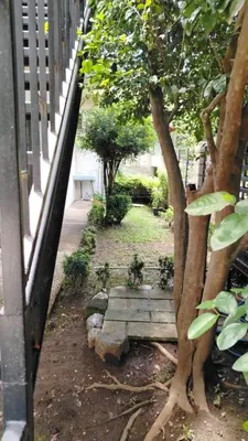 a small garden with a tree and a stone pathway at CASA TICA Apart 1 y 2 in Potrero