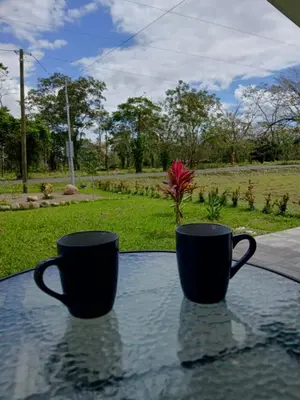 two coffee mugs sitting on top of a table at Cabaña Tranquila en la Naturaleza in Tigra