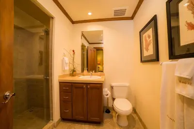 a bathroom with a toilet and a sink and a shower at Veranda 2B - 3 bdr 3 bath in La Mona