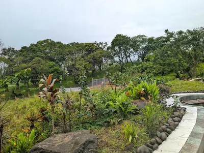 a garden with plants and a road in the background at Villa Piedra Viva in Tilarán