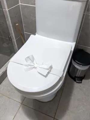 a white toilet with a bow on top of it at CL127 Modern Penthouse in Jacó