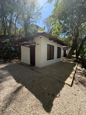 a small white house with a driveway at Green Point Nature Retreat in Nosara