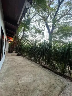 a walkway in a building with trees in the background at Green Point Nature Retreat in Nosara