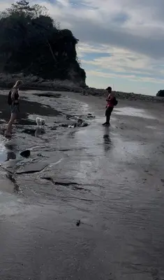 two people standing on a beach with a dog at Green Point Nature Retreat in Nosara