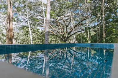 a swimming pool with trees in the background at CASA ROBLE, One-Bedroom with Pool in Paradise, Quiet and Fast WiFi in Santiago