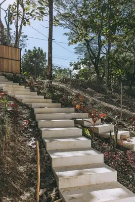 a set of concrete stairs in a garden at CASA ROBLE, One-Bedroom with Pool in Paradise, Quiet and Fast WiFi in Santiago