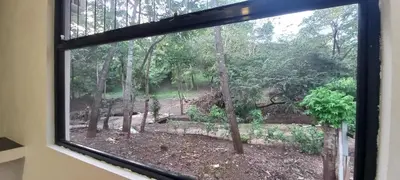 a window with a view of a forest at Dynamis Retreat in Tamarindo