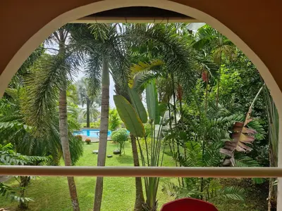 a window view of a garden with palm trees at El Diamante - Colibri in Playa Hermosa