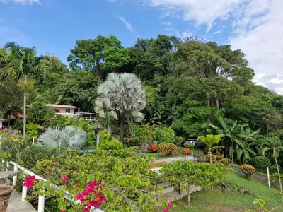 a garden with flowers and trees in the background at El Diamante - Colibri in Playa Hermosa