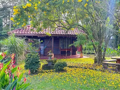 a small cabin in a garden with yellow flowers at Cabin with private tropical forest in Tanque