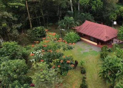an aerial view of a garden with a house and flowers at Cabin with private tropical forest in Tanque