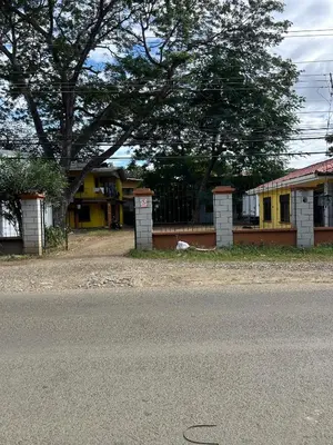 a street with a yellow house and a tree at Private Room One block from the beach in Coco