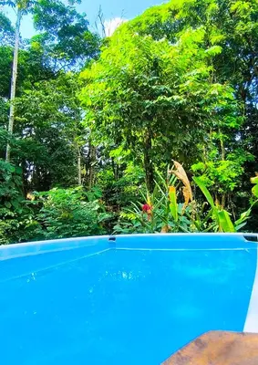 a blue swimming pool with trees in the background at Monstera Forest Lodge in Fortuna