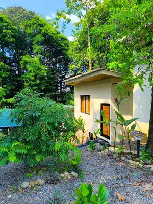 a small house in the middle of a garden at Monstera Forest Lodge in Fortuna