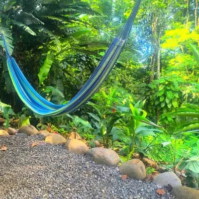 Monstera Forest Lodge