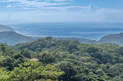 a view of a forest of trees and the ocean at Casa Nubes - Ocean View in Carrillo