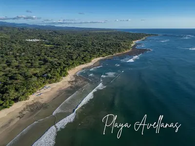 an aerial view of a beach and the ocean at Pinilla Living Studio 2 in Santa Cruz