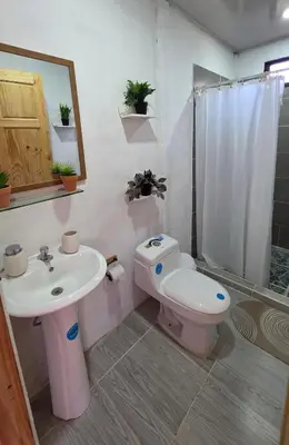 a bathroom with a sink and a toilet and a shower at Casa las Nubes 5 minutes from the beach in La Cruz