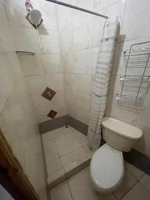a small bathroom with a toilet and a shower at Apartamento Melida 3 in Quepos