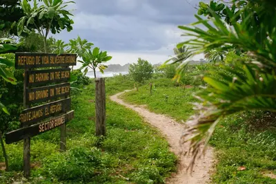 a dirt road with a sign in a field at Olas Verdes Hotel in Nosara