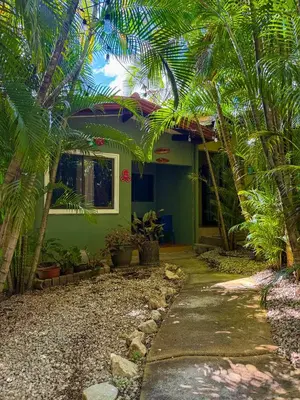 a green house with palm trees in front of it at Selva Partners Tamarindo in Matapalo