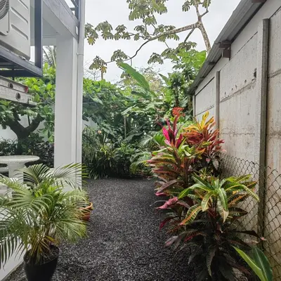 a garden with plants on the side of a building at Hospedaje Casa Blanca Tortuguero in Tortuguero