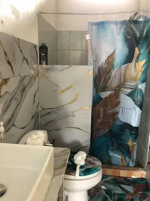 a bathroom with a shower curtain and a toilet at Casa Jenny in Quepos