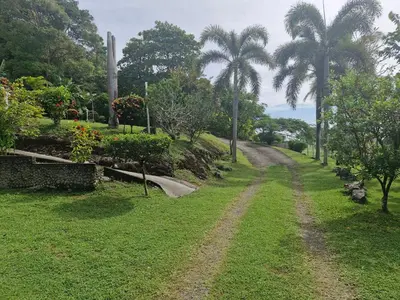 a dirt road in a field with palm trees at El Diamante - Playa Hermosa in Playa Hermosa