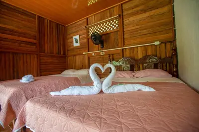 two swansrendered to look like hearts sitting on a bed at Tío Felix Eco Lodge in Fortuna