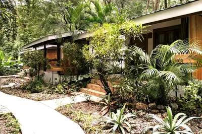 a house in the jungle with plants in front of it at Makanas Beach Bungalows in Santa Teresa Beach